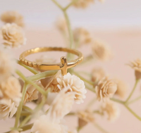 Load image into Gallery viewer, Our PVD PermaGold Two Tone Ring
